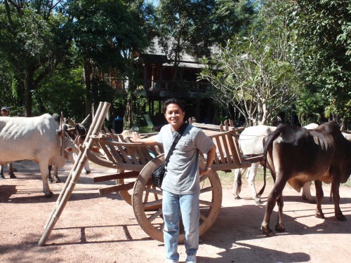Gerobak Sapi Gerobak Sapi